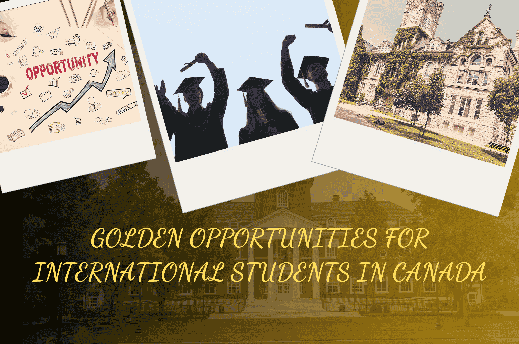 Golden Opportunities For International Students In Canada