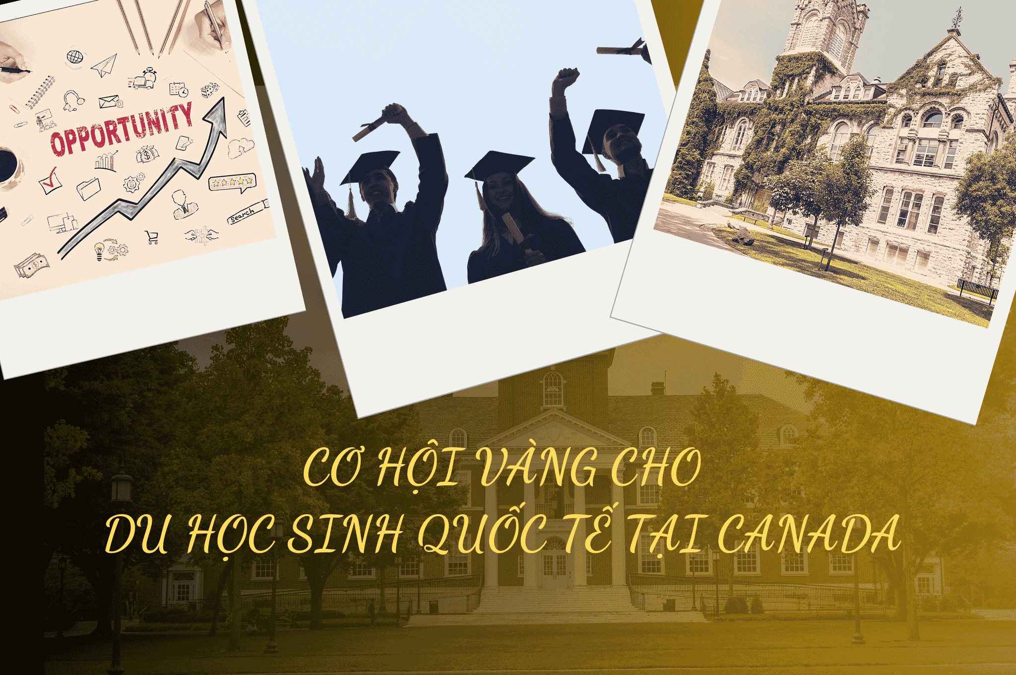 Cơ Hội Vàng Cho Du Học Sinh Quốc Tế Tại Canada 